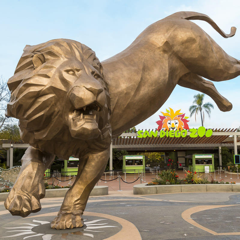 The Best Time To Visit San Diego Zoo Go City 